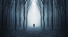 Silhouette Of Lone Man In Forest