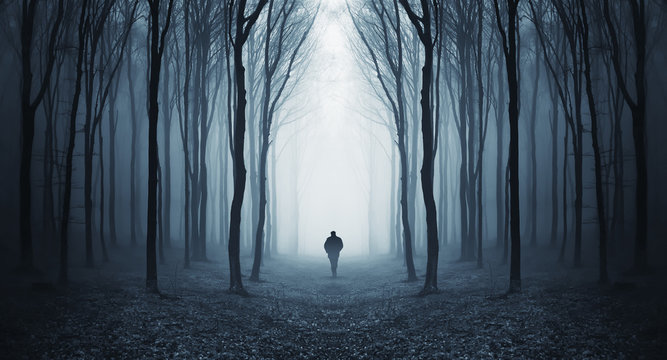 Silhouette of lone man in forest