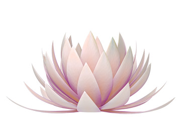 lotus flower on a white background