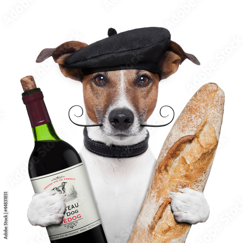 Naklejka nad blat kuchenny french dog wine baguette beret