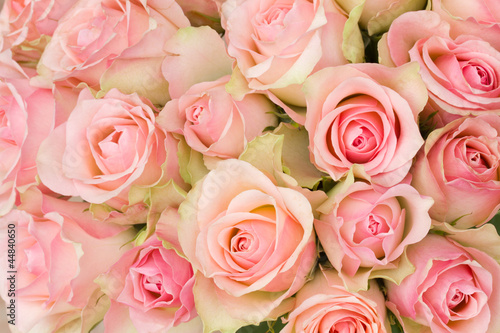 Obraz w ramie Piękny bukiet róż