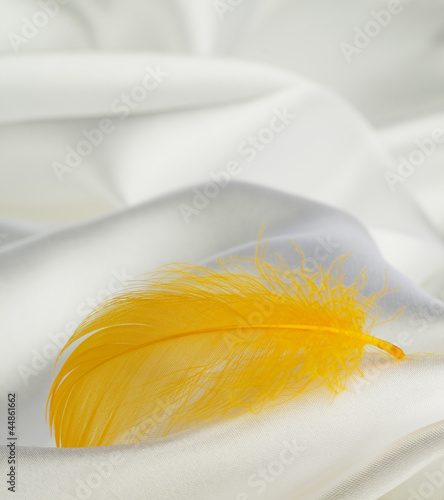 Naklejka ścienna yellow feather