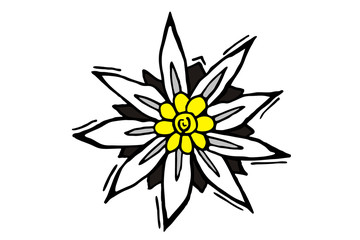 Edelweiss, Gebirgsblume