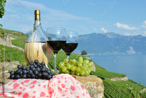 Plakat na papierze fotorealistycznym Czerwone wino i winogrona. 