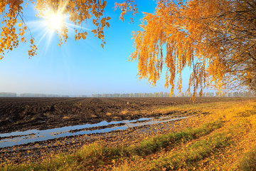 Wall Mural - Autumn countryside