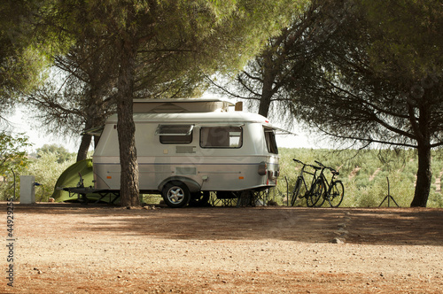 Cuadros en Lienzo Small white caravan through the trees