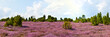 Heideblüte, Panorama