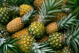 Many fresh pineapples , full frame