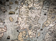 Scandinavia Ancient map