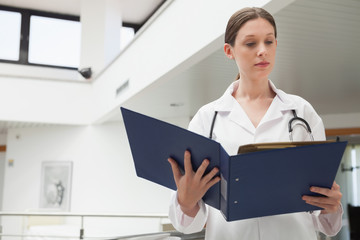 Wall Mural - Female doctor reading  folder