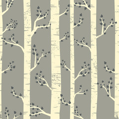 Poster - Birch Trees Background
