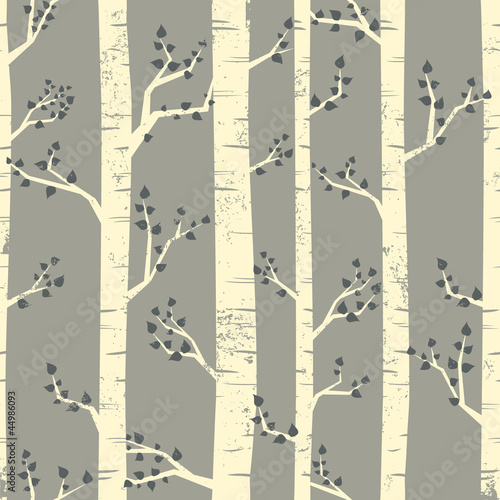 Obraz w ramie Birch Trees Background