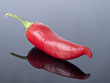 © Andrii Lysenko - bitter pepper