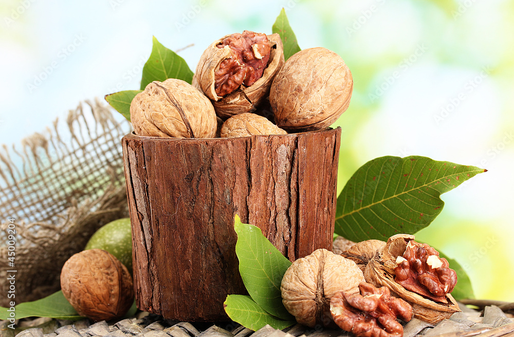 walnuts with green leaves in garden, on green background