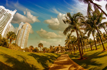 Sticker - Walkway in a beautiful Park with Palms