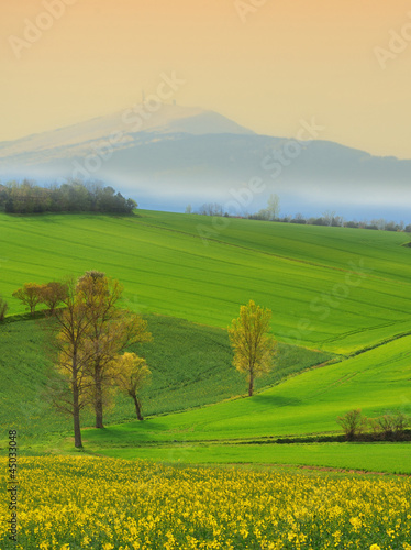 Tapeta ścienna Krajobraz wiejski