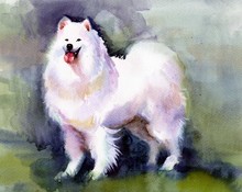Watercolor Animal Collection: Dog