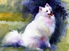 Watercolor Animal Collection: Dog