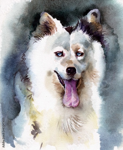 Obraz w ramie Watercolor Animal Collection: Dog