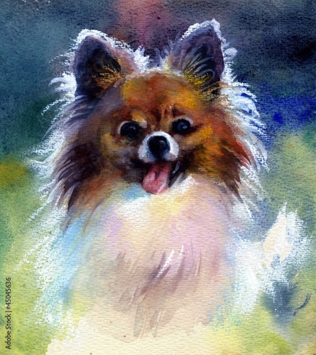 Obraz w ramie Watercolor Animal Collection: Dog