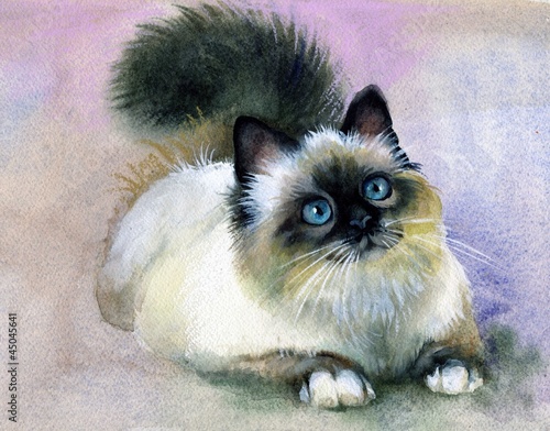 Naklejka dekoracyjna Watercolor Animal Collection: Cat