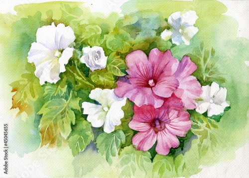 letnie-kolorowe-kwiaty-w-rozowych-i-bialych-odcieniach-malarstwo