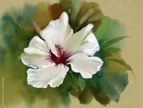 Naklejka ścienna Hibiscus