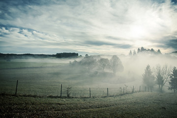 Wall Mural - misty scenery