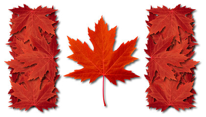 Wall Mural - canada leaf flag