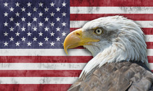 Bandera De Los Estados Unidos De América Con El águila Calva