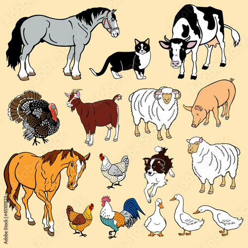 Naklejka dekoracyjna vector set with domestic animals