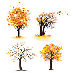 autumn tree set