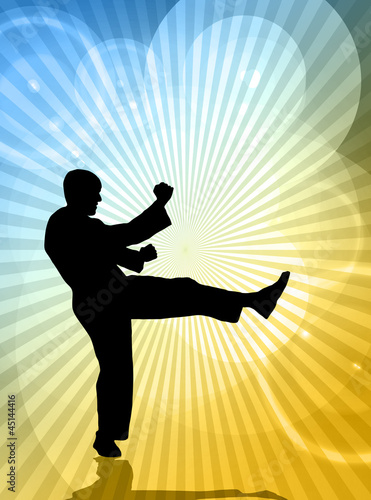Board z aluminiowym obramowaniem Ilustracja karate