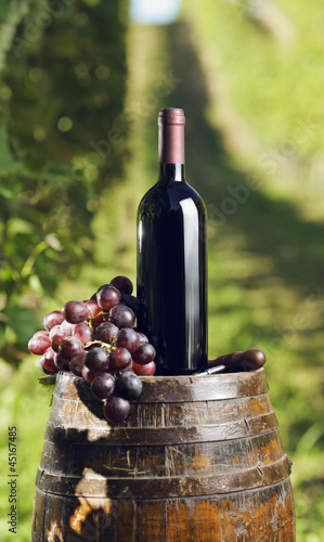 Plakat na papierze fotorealistycznym Czerwone wino