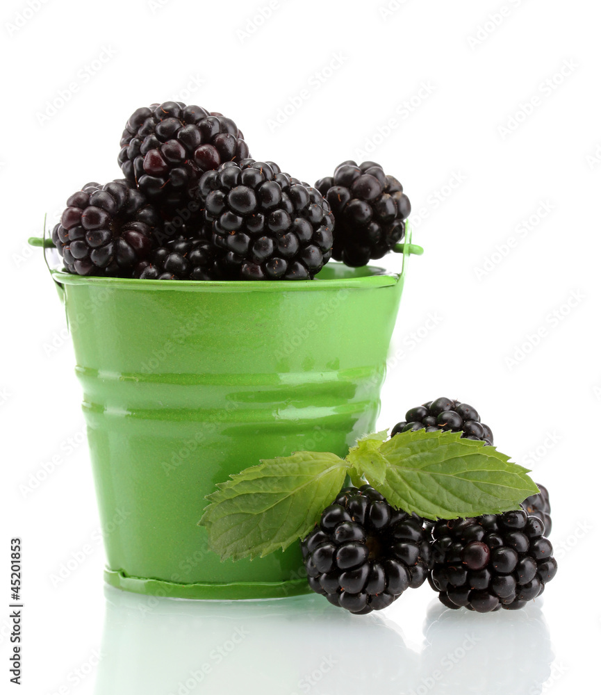 beautiful blackberries with leaves in bucket isolated on white