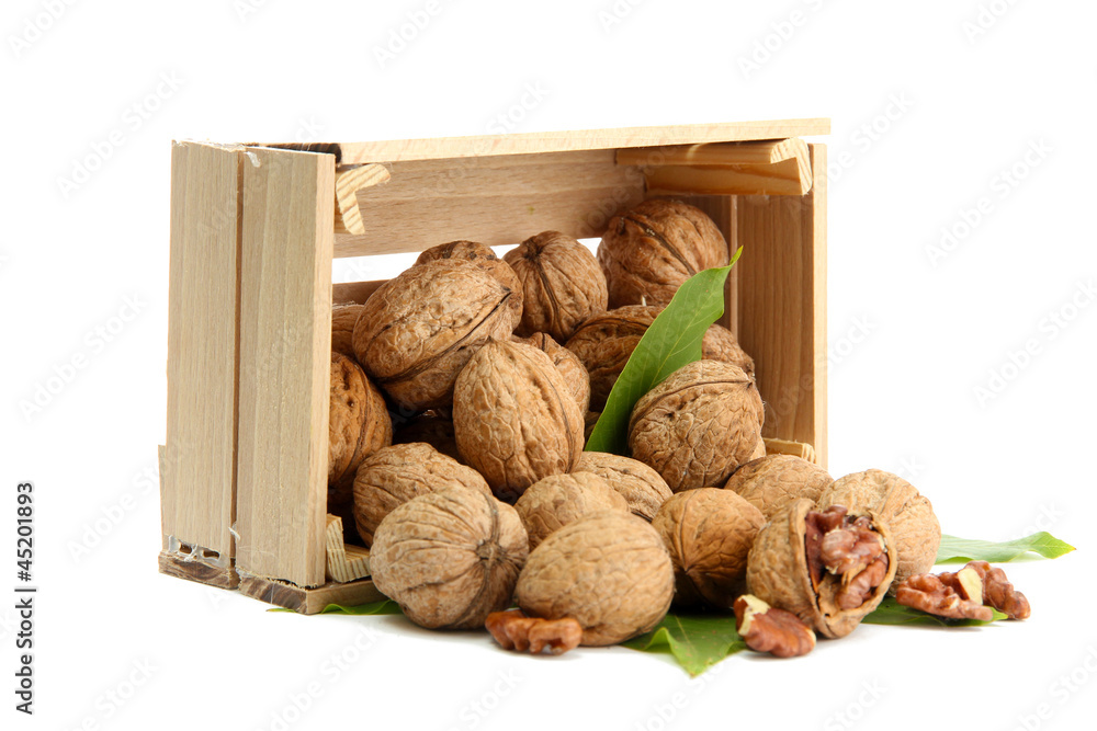 walnuts with green leaves in woooden crate, isolated on white