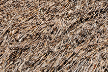 Background With Thatched Roof Detail