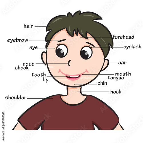 Naklejka dekoracyjna Cartoon child. Boy. Vocabulary of face parts.