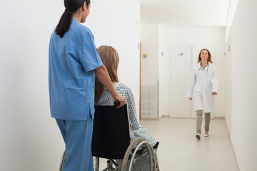 Wall Mural - Nurse pushing patient in wheelchair with doctor approaching