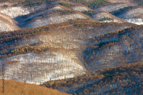 Naklejka samoprzylepna Widok ze szczytu okolicznych wzgórz, bieszczady, polska