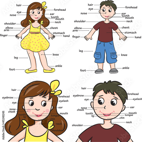 Obraz w ramie Cartoon boy and girl. Vocabulary of body parts.