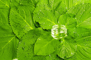 Empty jar over green leaves background