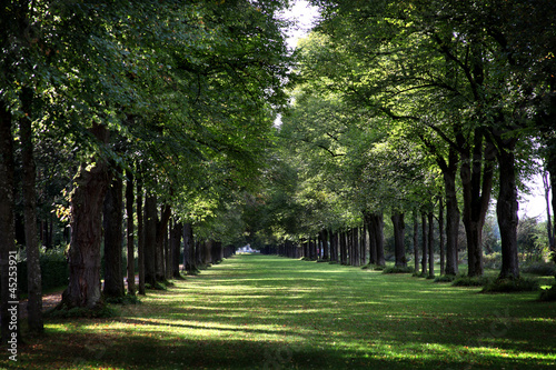 Board z aluminiowym obramowaniem Allee