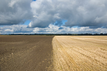 Wall Mural - Stubble and plowed field