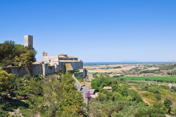 Panoramic view of Tarquinia. Lazio. Italy.