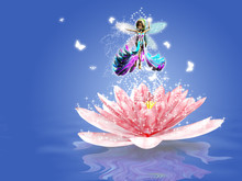Water Lily Fairy