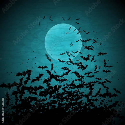 Board z aluminiowym obramowaniem Tło wektor halloween z księżycem i nietoperzy.