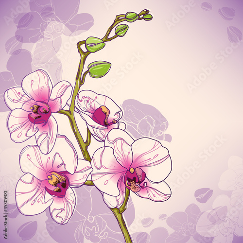 Obraz na płótnie canvas dwuczęściowy "dyptyk" Wektorowa gałąź orchidei