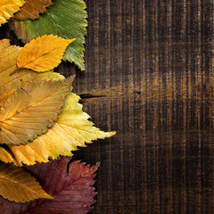 Wall Mural - Autumn background. Leaves border on dark wood