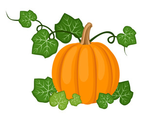 Wall Mural - Orange pumpkin with leaves. Vector illustration.